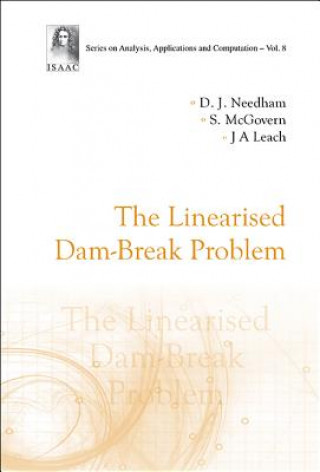 Könyv Linearised Dam-break Problem, The David J. Needham