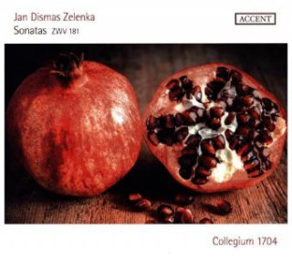 Audio Triosonaten, 2 Audio-CDs Jan Dismas Zelenka