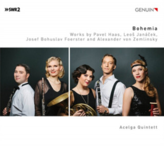 Audio Bohemia Anne/Acelga Quintet Scheffel