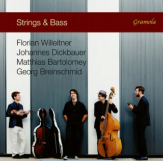 Audio Strings & Bass Willeitner/Dickbauer/Bartolomey/Breinschmid