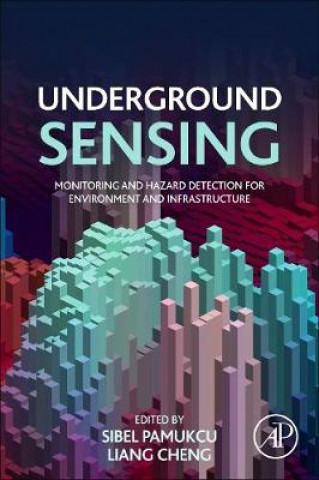Buch Underground Sensing Sibel Pamukcu