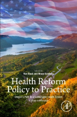 Kniha Health Reform Policy to Practice Bruce Goldberg
