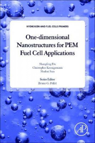 Könyv One-dimensional Nanostructures for PEM Fuel Cell Applications Shangfeng Du