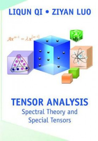 Könyv Tensor Analysis Liqun Qi