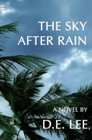 Kniha Sky After Rain D. E. Lee