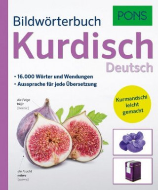 Kniha PONS Bildwörterbuch Kurdisch 