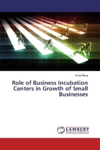 Книга Role of Business Incubation Centers in Growth of Small Businesses Aimal Mirza