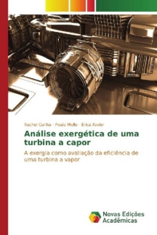 Книга Análise Exergética de uma Turbina a Vapor Rachel Cunha