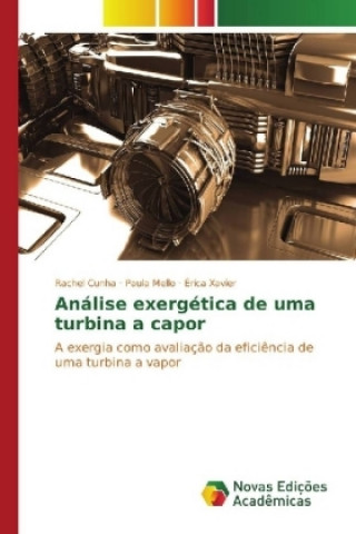 Carte Análise Exergética de uma Turbina a Vapor Rachel Cunha