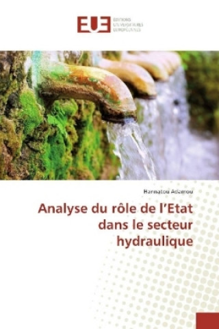 Carte Analyse du rôle de l'Etat dans le secteur hydraulique Hannatou Adamou