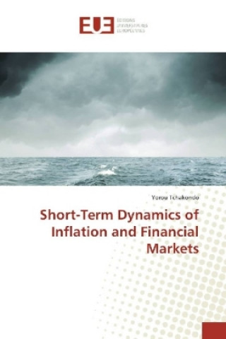 Książka Short-Term Dynamics of Inflation and Financial Markets Yorou Tchakondo