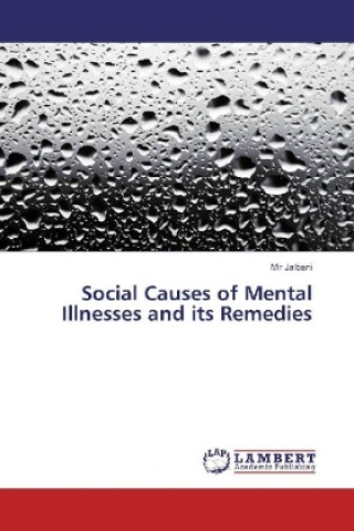 Książka Social Causes of Mental Illnesses and its Remedies Mir Jalbani