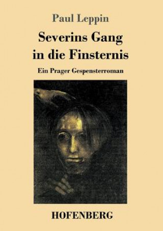 Kniha Severins Gang in die Finsternis Paul Leppin