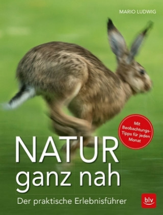 Könyv Natur ganz nah Mario Ludwig