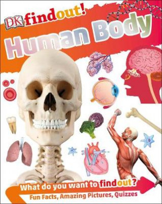 Книга DKfindout! Human Body DK