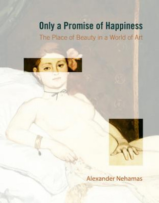 Könyv Only a Promise of Happiness Alexander Nehamas