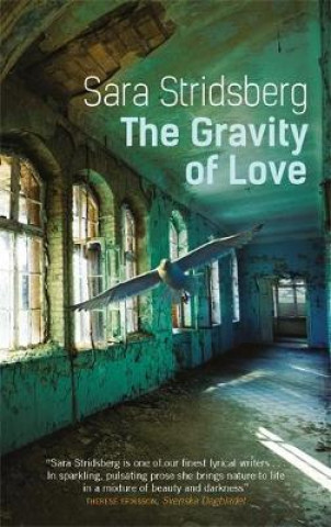 Könyv Gravity of Love Sara Stridsberg