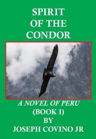 Kniha Spirit of the Condor Joseph Jr Covino