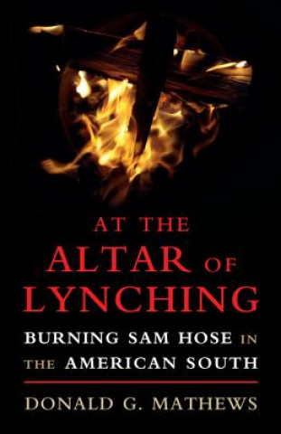 Könyv At the Altar of Lynching MATHEWS  DONALD G.