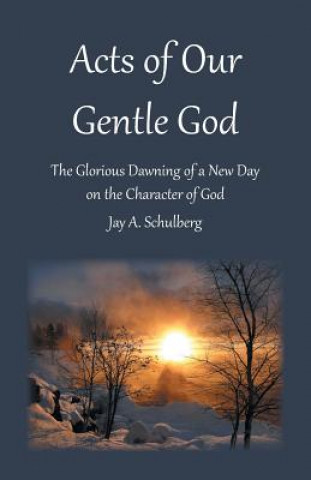 Knjiga Acts of Our Gentle God JAY A. SCHULBERG