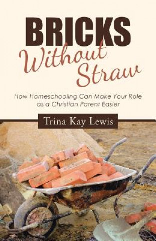 Livre Bricks Without Straw TRINA KAY LEWIS