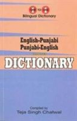 Könyv English-Punjabi & Punjabi-English One-to-One Dictionary. Exam Suitable: Script & Roman T. S. Chatwal