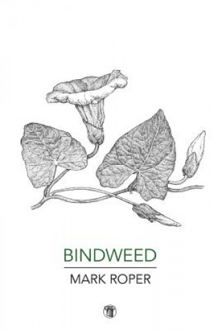 Buch Bindweed MARK ROPER