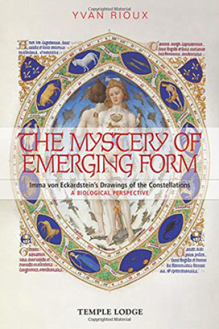 Book Mystery of Emerging Form Yvan Rioux