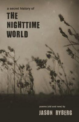 Book Secret History of the Nighttime World JASON RYBERG