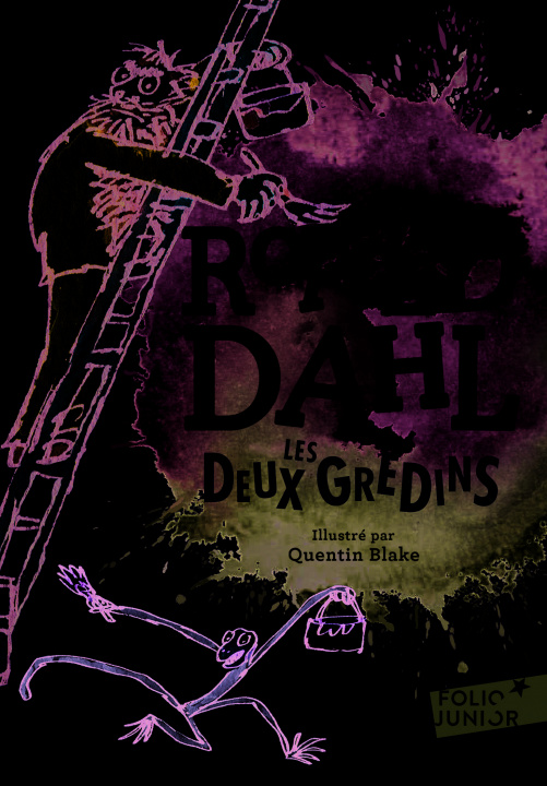 Kniha Deux Gredins Roald Dahl