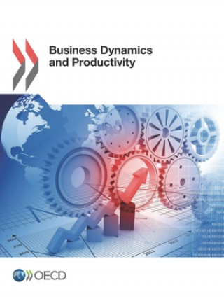 Carte Business dynamics and productivity Organization for Economic Cooperation and Development