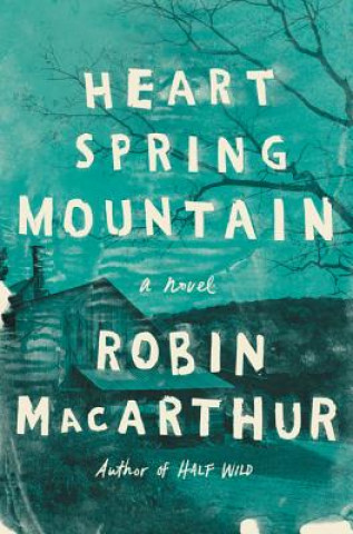 Kniha Heart Spring Mountain Robin MacArthur