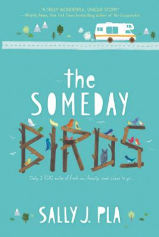 Książka The Someday Birds Sally J. Pla