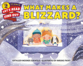 Книга What Makes a Blizzard? Kathleen Weidner Zoehfeld