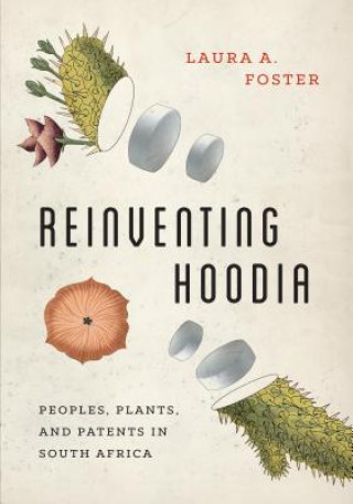 Книга Reinventing Hoodia Laura A. Foster