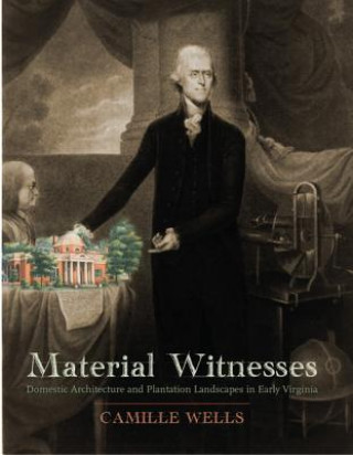 Buch Material Witnesses Camille Wells