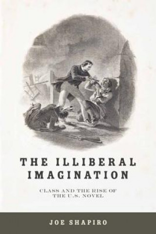 Kniha Illiberal Imagination Joe Shapiro