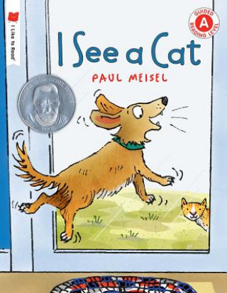 Kniha I See a Cat Paul Meisel