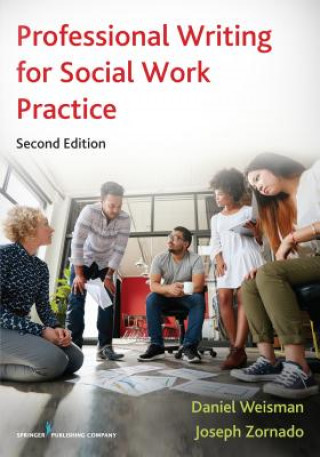 Buch Professional Writing for Social Work Practice Daniel Weisman