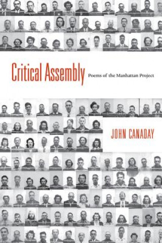 Kniha Critical Assembly John Canaday