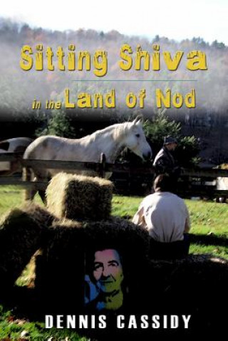 Kniha Sitting Shiva in the Land of Nod Dennis Cassidy