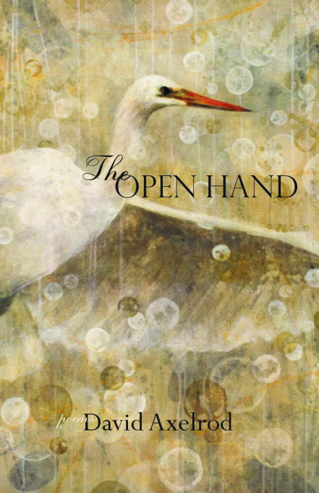 Kniha Open Hand David Axelrod