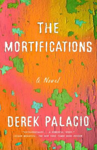 Könyv Mortifications Derek Palacio