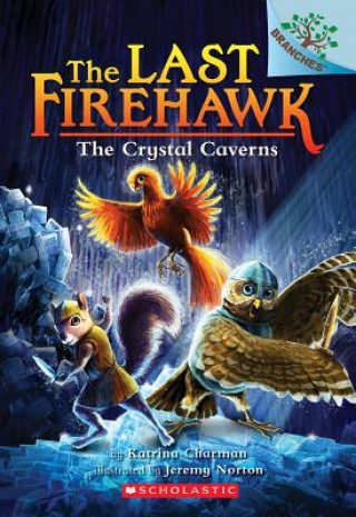 Boek Crystal Caverns: A Branches Book (The Last Firehawk #2) Katrina Charman