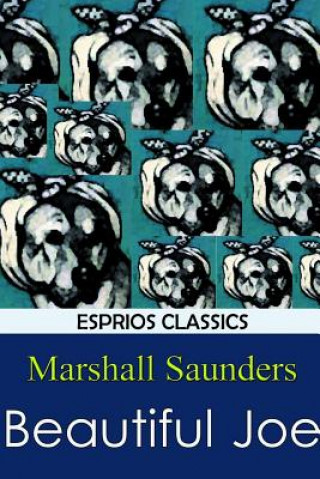 Kniha Beautiful Joe Marshall Saunders
