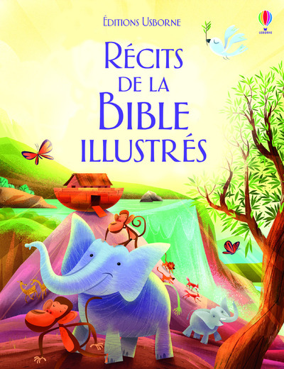 Carte Les Récits de la Bible illustrés 