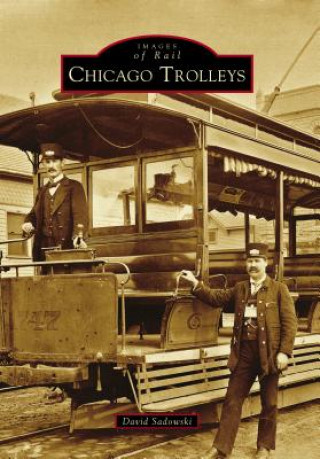 Buch Chicago Trolleys David Sadowski