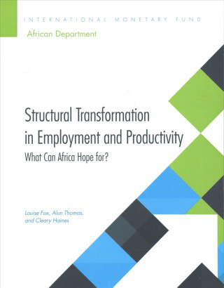 Kniha Structural transformation in employment and productivity International Monetary Fund