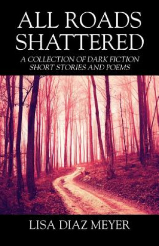 Книга All Roads Shattered Lisa Diaz Meyer