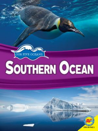 Kniha Southern Ocean Rowena Rae